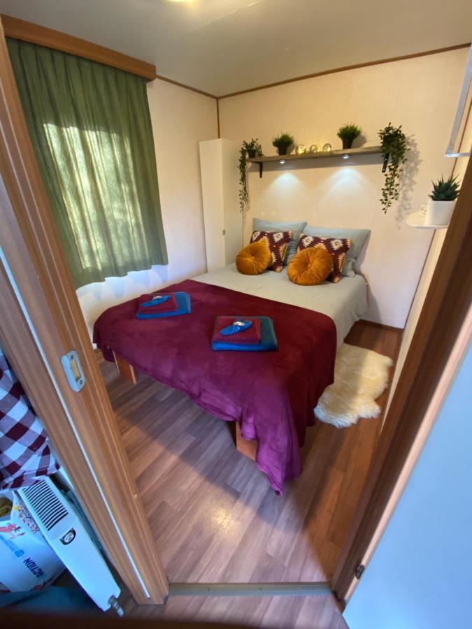 Gezellige Chalet In Bosrijke Omgeving Villa Anloo Ngoại thất bức ảnh